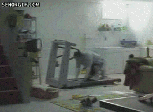 Những tai nạn "cực thốn" trong phòng gym - 7