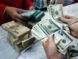 SSI: Khó giảm lãi suất vì sức ép tỷ giá USD tăng