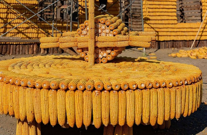 Đã mắt ngắm ngôi nhà làm từ 20.000 bắp ngô - 4