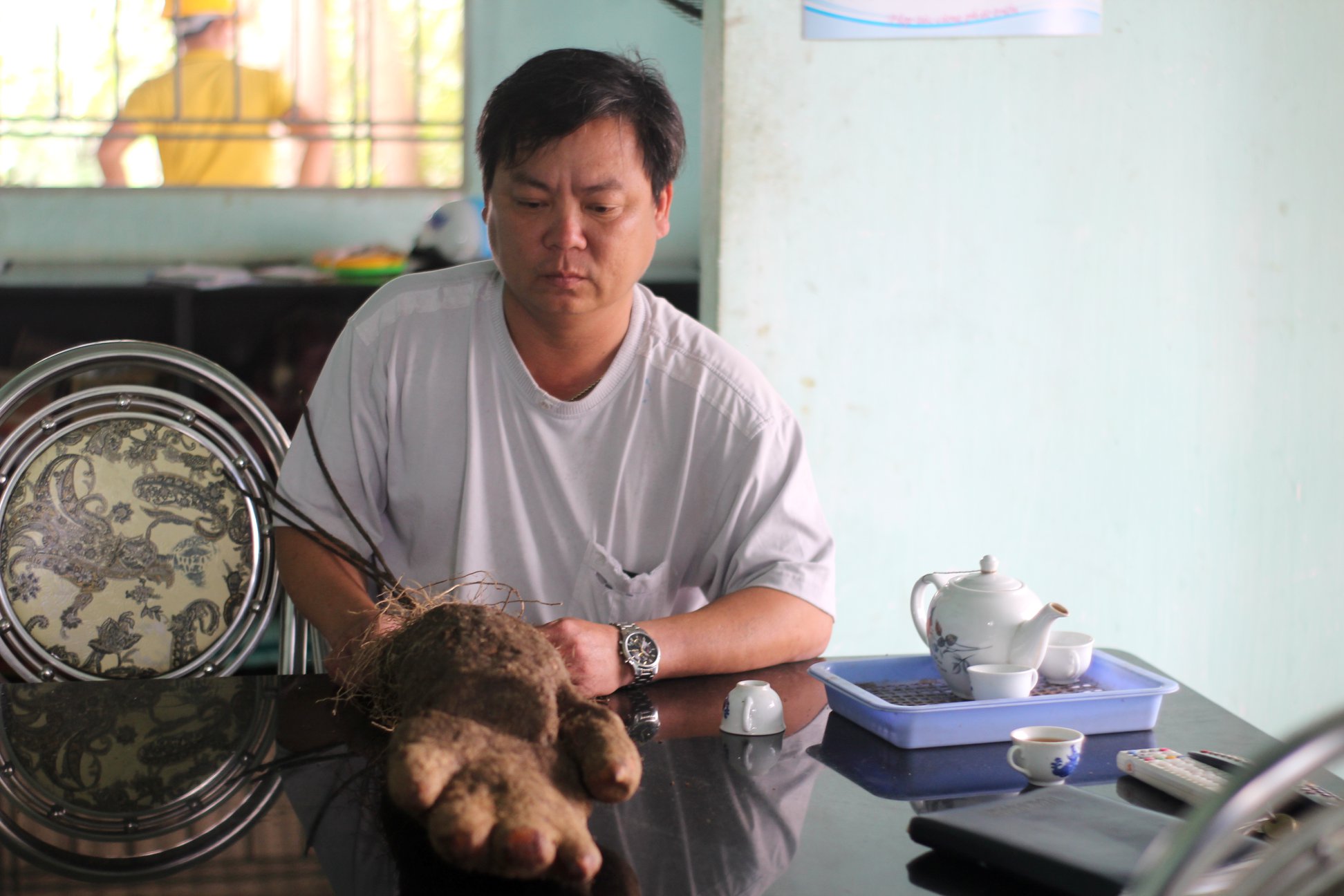 Củ khoai giống hình bàn tay người trong mỏ đá ở Phú Yên - 3