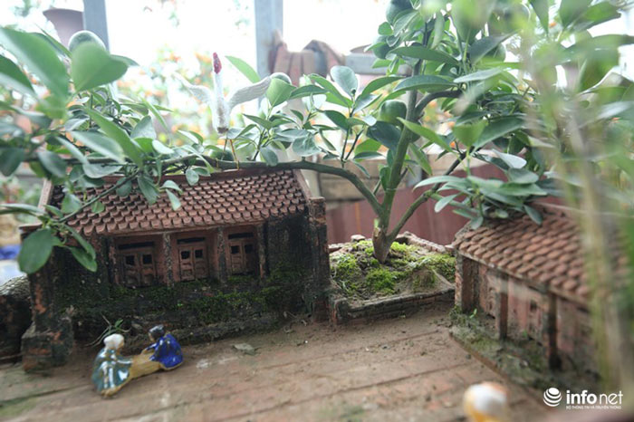 Lơ đào, quất, dân chơi Hà thành