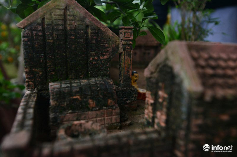 Lơ đào, quất, dân chơi Hà thành