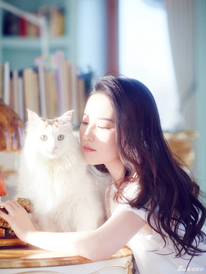 Số phận trái ngược của Lưu Diệc Phi và dàn sao "Kim phấn thế gia" sau 15 năm - 5