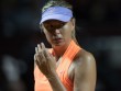 Roland Garros, đừng khóc Sharapova: Đẹp nhưng không có quyền