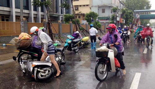 HN: Gió giật cực mạnh, cây đổ ngổn ngang do bão số 1 - 9