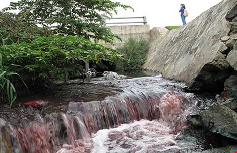 TPHCM: Dân Thủ Đức khóc ròng vì ô nhiễm từ quận 9 - 1