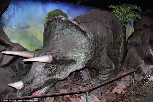 Vẻ bí ẩn bên trong công viên khủng long bị bỏ hoang - 10