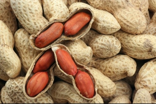 4 bài thuốc xông chữa viêm xoang nổi tiếng hiệu quả - 1