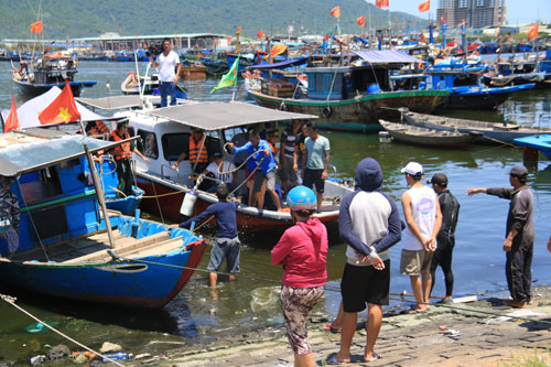 Một thợ lặn đuối nước tử vong khi lặn bắt chip chip - 1