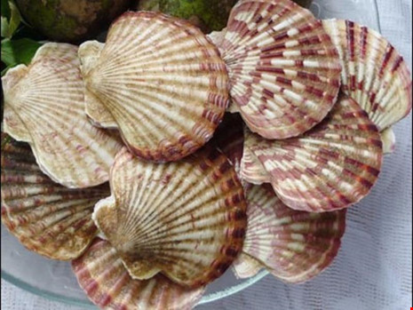 9 cách đơn giản phòng chống bệnh mùa lạnh - 2