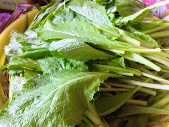 Thanh đạm cùng cá thác lác cuộn cải bẹ xanh - 2