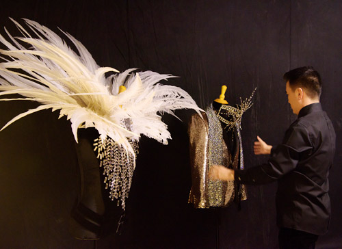 Choáng với tủ đồ kim cương của Đàm Vĩnh Hưng - 11