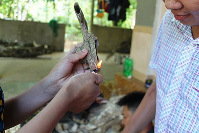 Những “siêu gỗ” khiến cả đại gia và dân buôn phát cuồng - 3