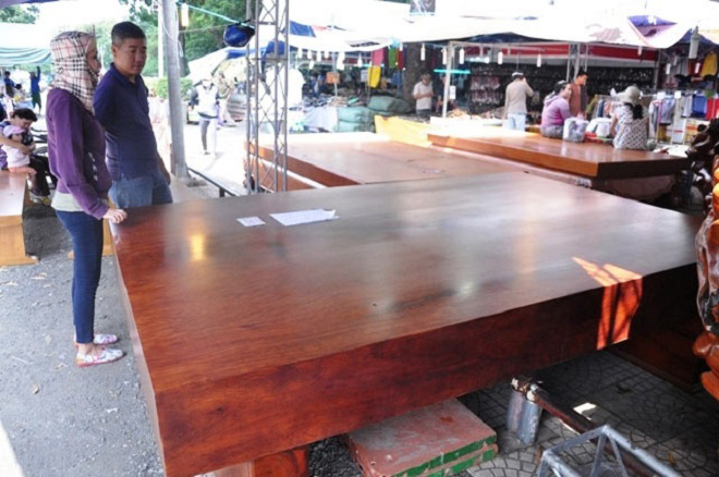 Những “siêu gỗ” khiến cả đại gia và dân buôn phát cuồng - 7