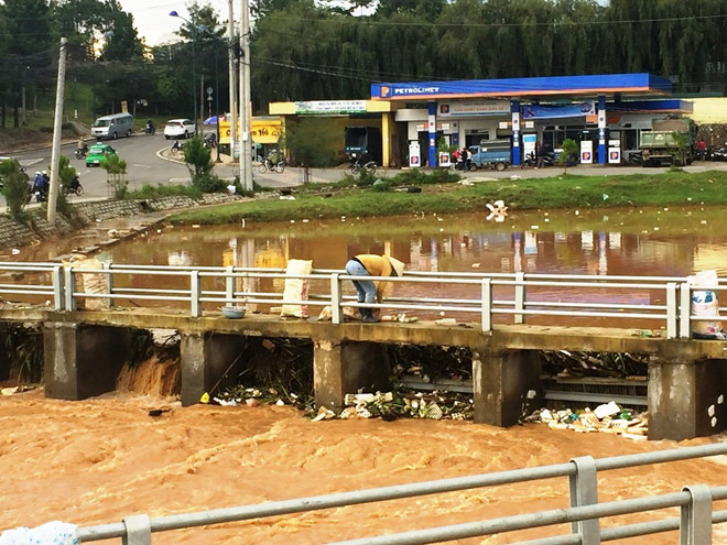 Phát hoảng khi thấy hồ Xuân Hương mộng mơ như bể chứa rác - 6