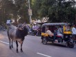 Lộ diện du khách "số nhọ" nhất thế giới