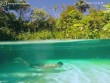 Khám phá suối nước nóng trong suốt như pha lê ở Brazil