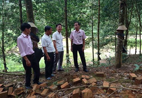 Nơi heo hút, trồng 10ha cao su, 5ha cà phê và thành tỷ phú - 1