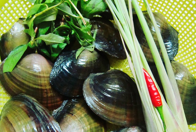 Những người đại kỵ với trai, hến, đừng ăn kẻo 'hối không kịp' - 1