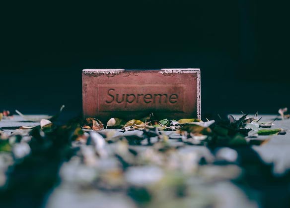 Dân sành mốt đổ xô đi mua cục gạch với giá đắt khó tin - 9