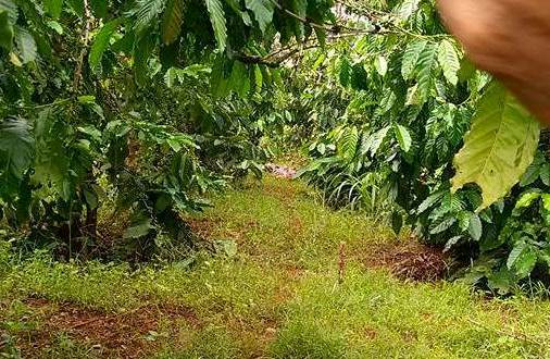 Người đàn ông chết không nguyên vẹn sau tiếng nổ lớn - 1