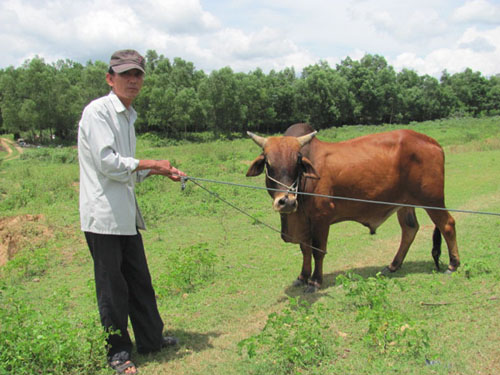 Cuộc mưu sinh của những thợ săn “độc nhất vô nhị” - 1