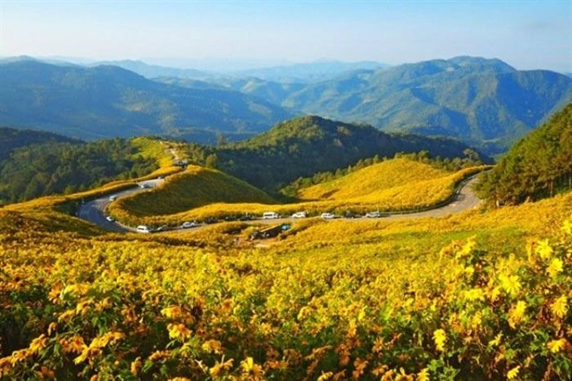 Tháng 10, trên những cung đường hoa dã quỳ đẹp nao lòng ở Đà Lạt - 4