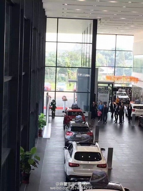 Khối tài sản khủng hàng nghìn tỷ của anh trai Triệu Vy - 2