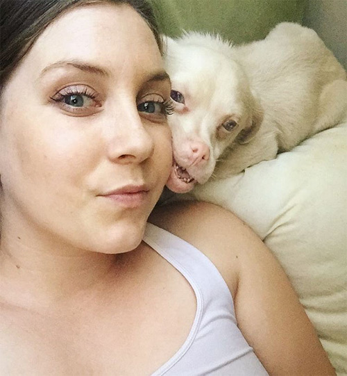 Chú chó răng vẩu nổi tiếng khắp thế giới với nụ cười lạ - 4