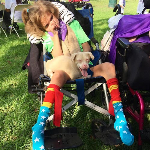 Chú chó răng vẩu nổi tiếng khắp thế giới với nụ cười lạ - 7