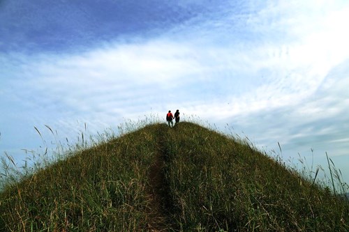 Giới trẻ mê tít cung đường lau ở Quảng Ninh - 3