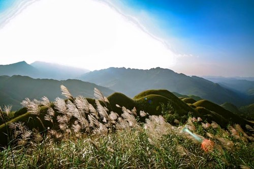 Giới trẻ mê tít cung đường lau ở Quảng Ninh - 7