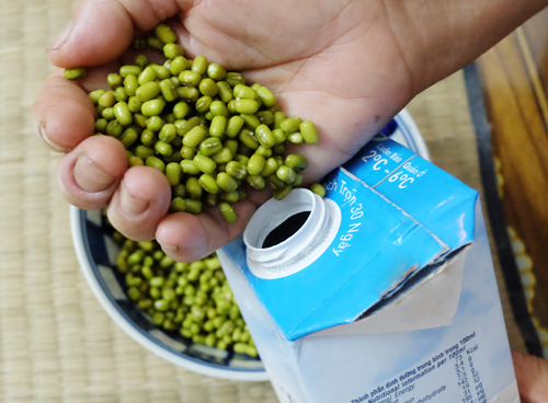 4 cách làm giá đỗ ngon, mập, sạch tại nhà - 2