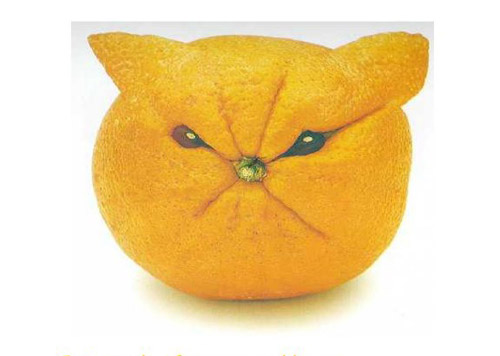 Những củ, quả độc nhất quả đất đã xuất hiện - 10