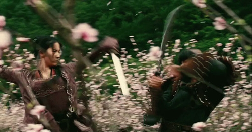 Những pha võ thuật 