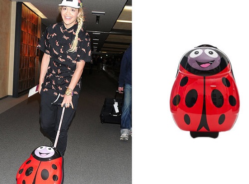 Lần đầu thấy túi hiệu trang trí bằng cá vàng đang bơi - 10