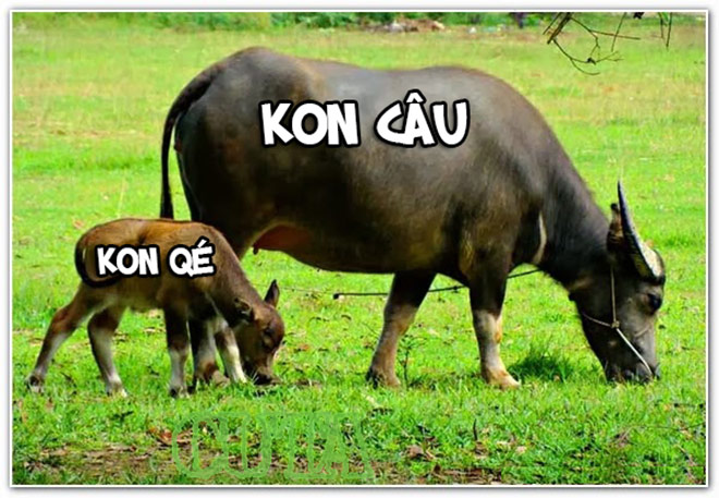 Xã hội sẽ sống động thế nào nếu thay đổi chữ viết? - 4