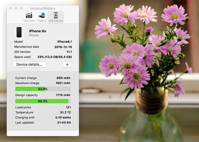 Cách kiểm tra số lần sạc trên iPhone, iPad - 4