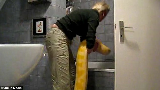 Video: Đem trăn khổng lồ vào nhà tắm như thú cưng - 1