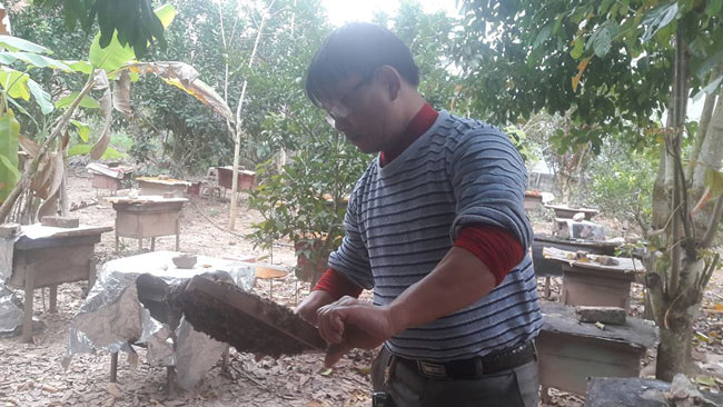 Nuôi con be bé có nọc độc mà kiếm tiền triệu như bỡn - 1