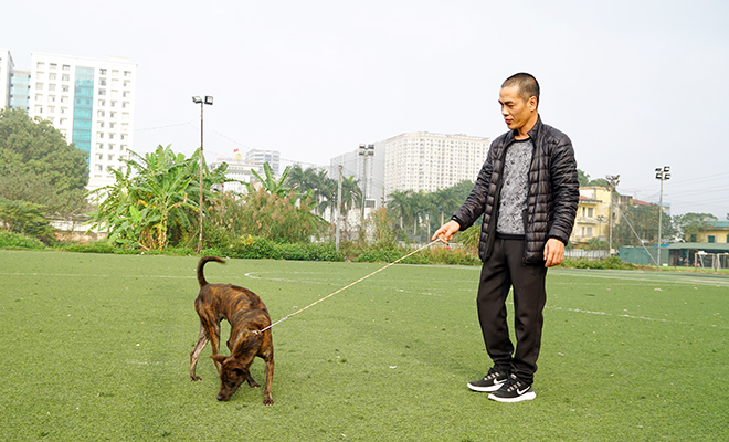 Thực hư thông tin Việt Nam đang sở hữu giống chó thông minh nhất nhì thế giới - 1