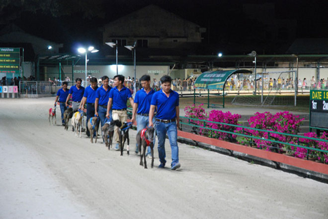 Đầu năm Mậu Tuất đi xem đua chó ở trường đua lớn nhất Đông Nam Á - 1