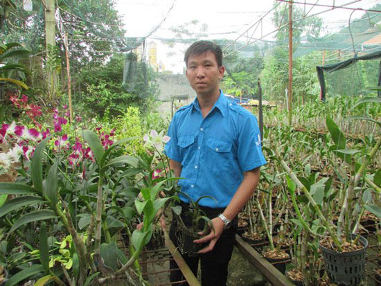 Chia sẻ với hơn 64 về mô hình trồng lan cắt cành hay nhất  Tin học Đông Hòa