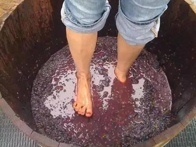3 ”món” bị người làm dẫm đạp bằng chân, nhưng ai cũng u ăn thậm chí là hằng ngày