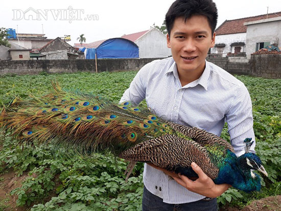 hộp đựng thức ăn chim giá tốt Tháng 9, 2023 | Mua ngay Chăm Sóc Thú Cưng |  Shopee Việt Nam