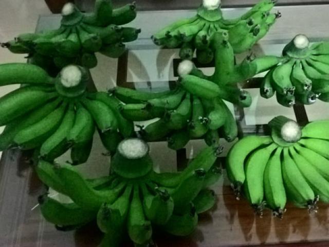 Bán thứ quả nhà ai cũng phải mua trưng tết, thu về hàng trăm triệu đồng