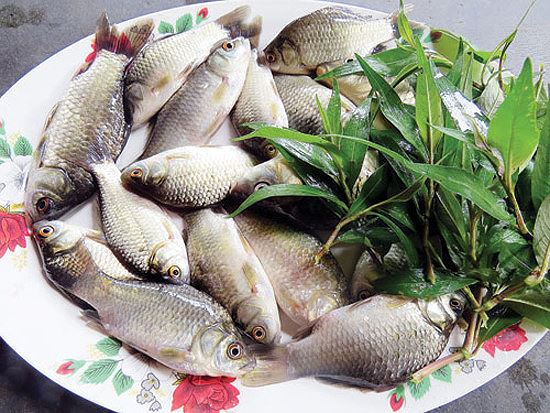 Cá diếc chữa nhiều bệnh cực tốt, nhưng 'đại kỵ' với những người này - 1