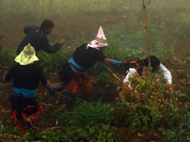 ”Kỳ lạ” tục cả làng náo nức kéo nhau đi ăn trộm sau giao thừa