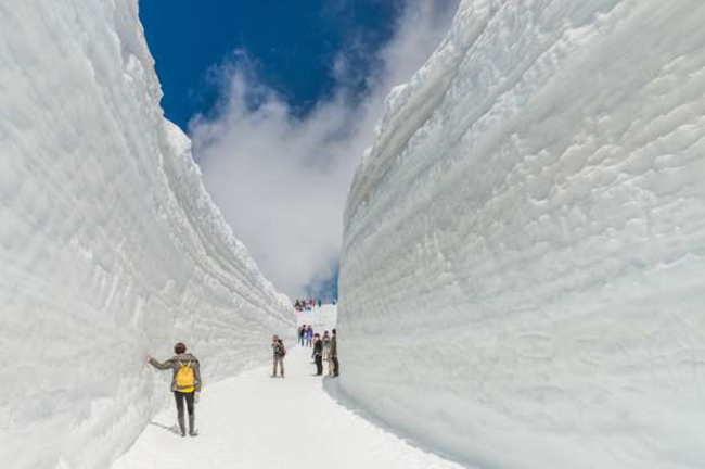 Tuyến đường Tateyama Kurope Alps, Nhật Bản: Được biết đến với cái tên Mái nhà của Nhật Bản, là một đường cao tốc xuyên qua những bức tường tuyết trên dãy núi Alps của Nhật Bản.
