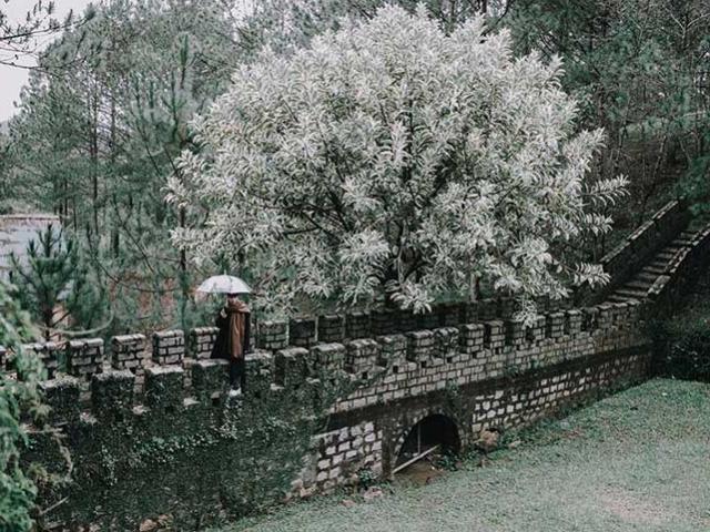 Có một ”Vạn Lý Trường Thành” thu nhỏ ngay giữa lòng Đà Lạt